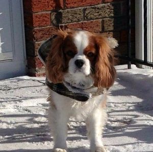 Meet your Posher, Kathy